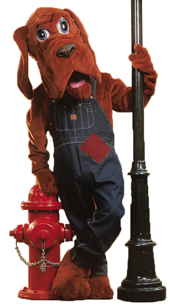 Bloodhound As Pictured