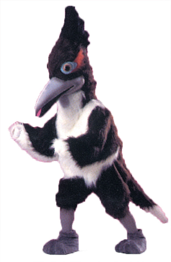 Roadrunner As Pictured