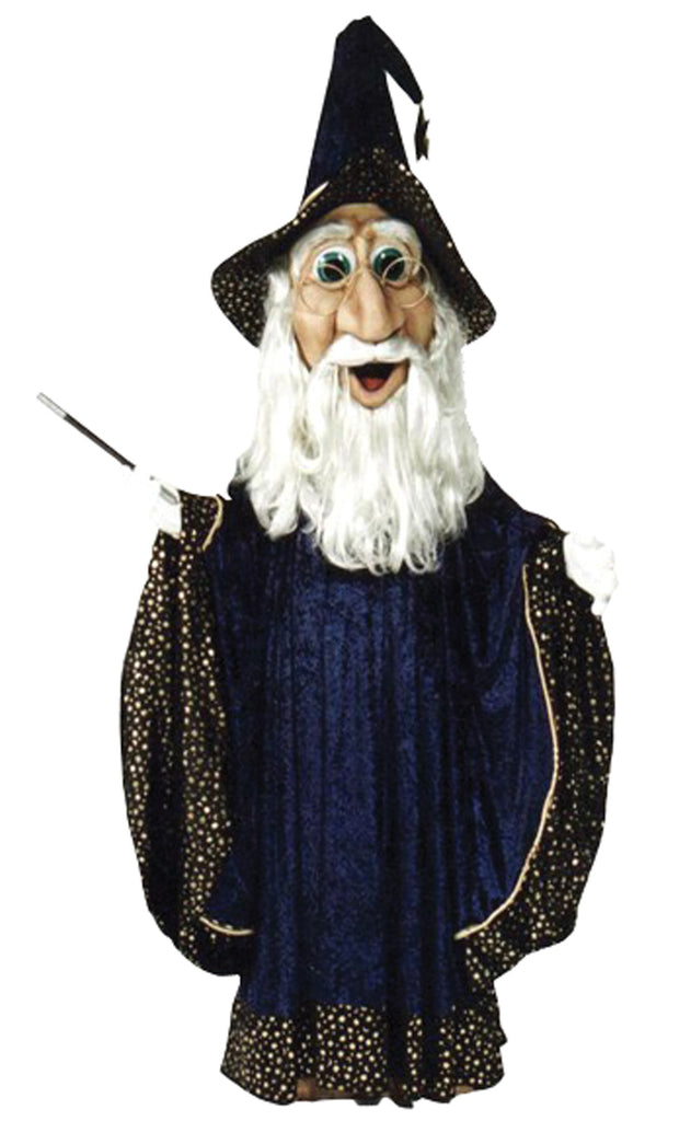 Wizard As Pictured