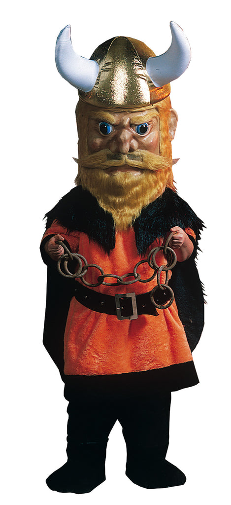 Viking Costume As Pictured