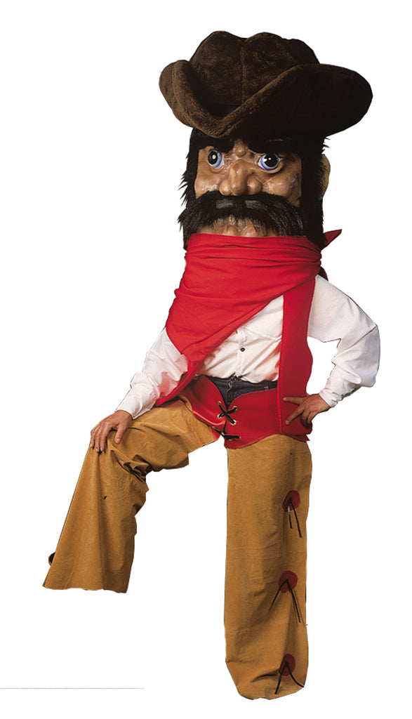 Cowboy Costume As Pictured