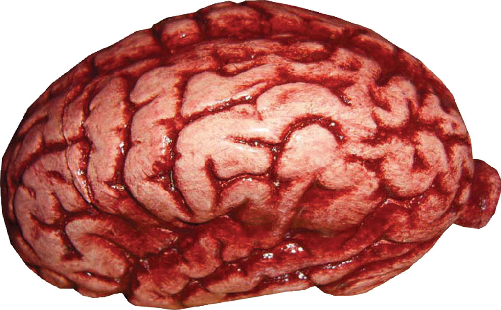 Brain Latex