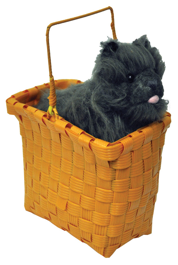 Toto In Basket