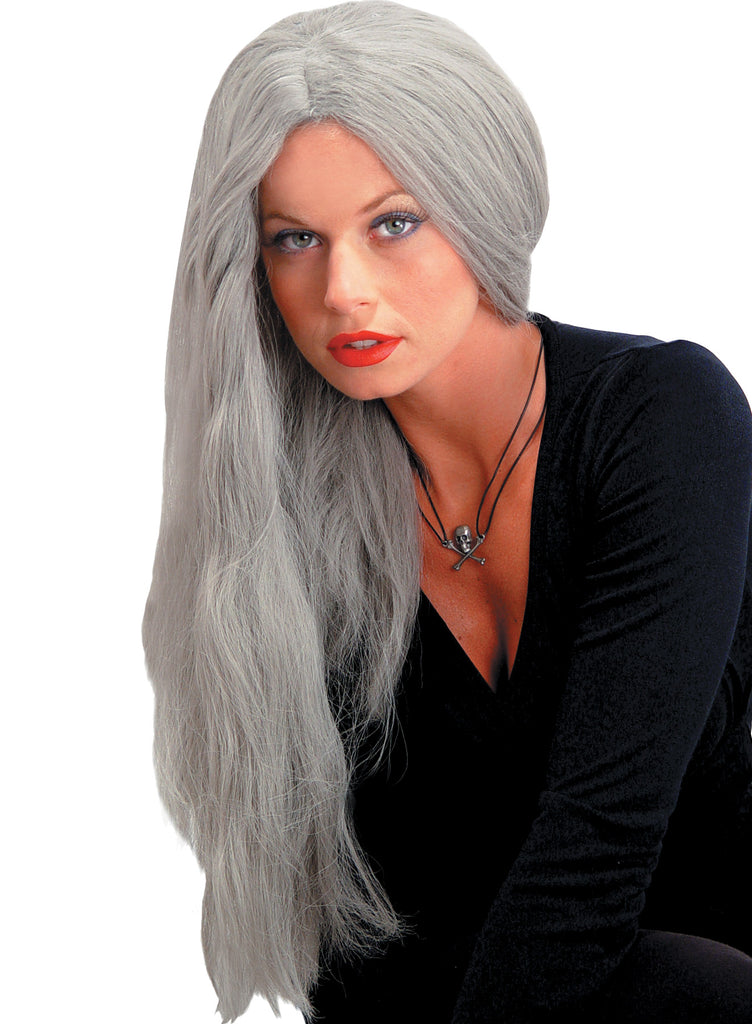 Wig 24 Inch Straight Grey