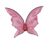 Wings Butterfly Pk Hot Color