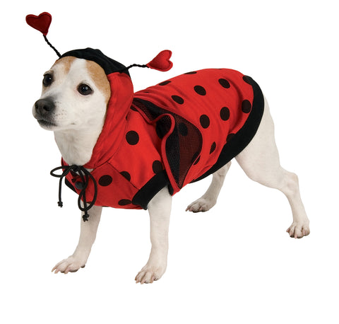 Pet Ladybug Costume Xlarge