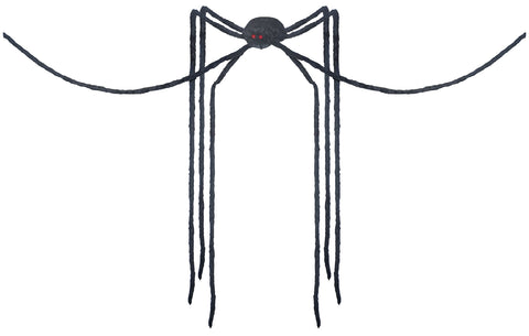 Spider Black Long Legs