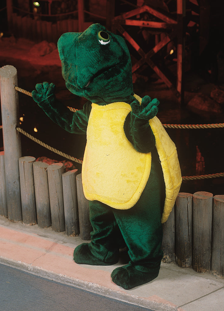 Turtle Mascot  As Pictured