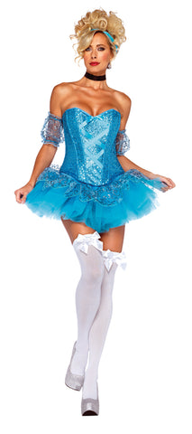 Cinderella Large Adult 12-14