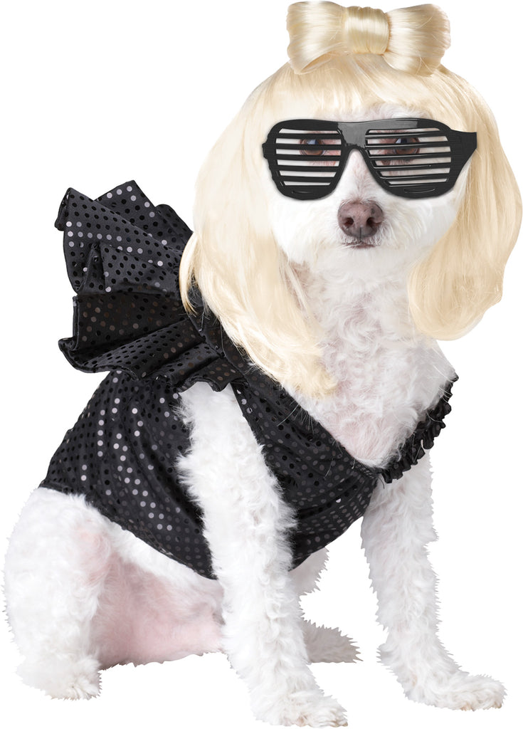 Pet Pop Sensation Small