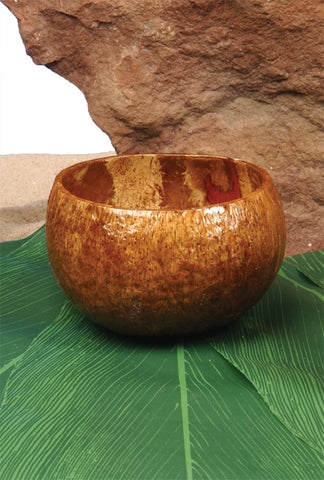 Coconut Cup