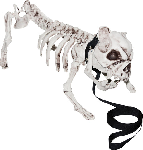 Skeleton Dog