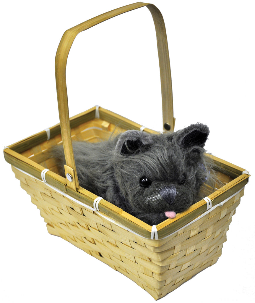 Toto W Basket Economy