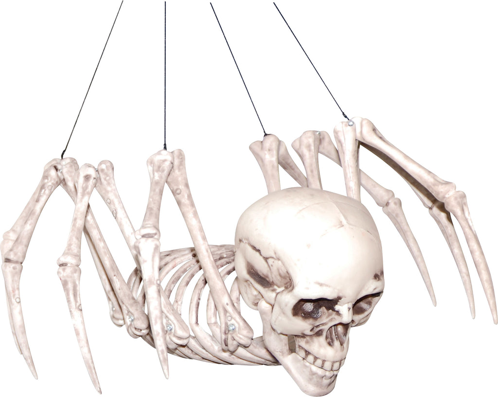 Spider Skeleton