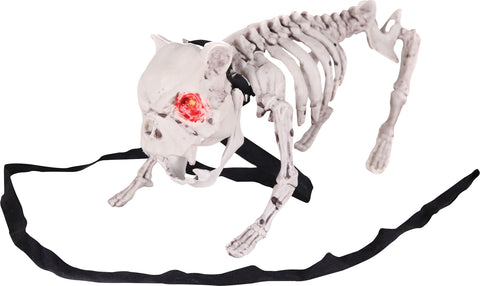 Barking Dog Skeleton