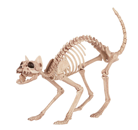 Skeleton Kitty Bonez