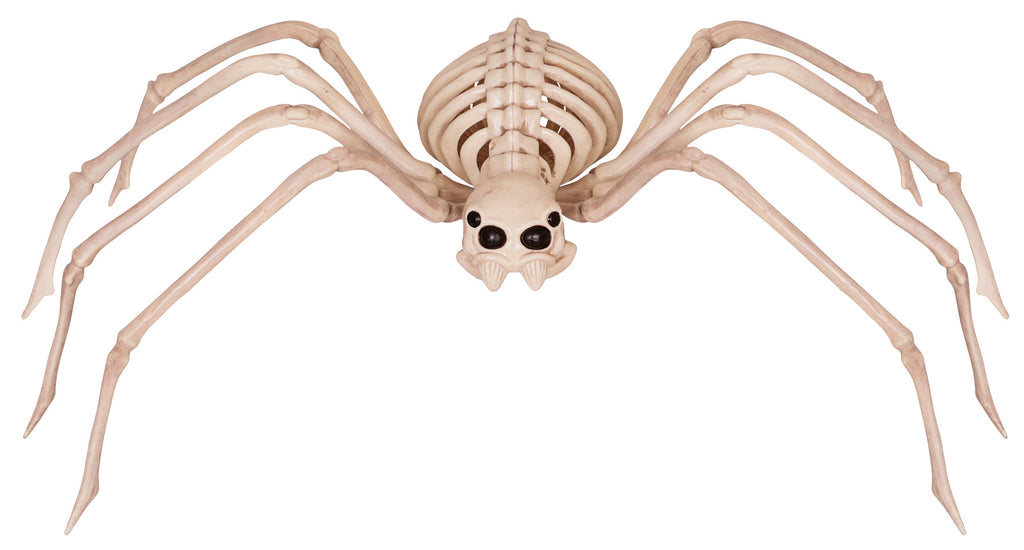 Skeleton Spider