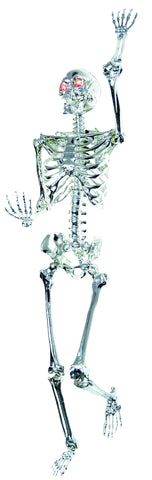 Skeleton Chrome Lightup 5ft