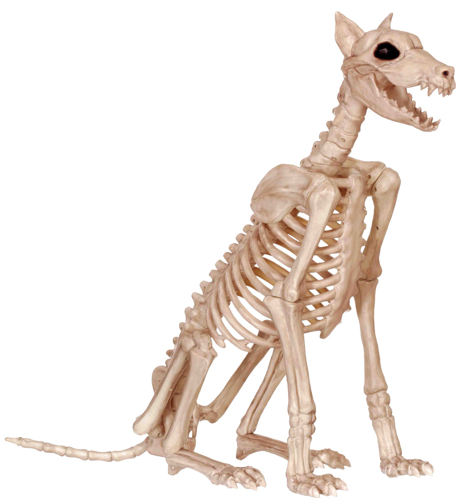 Skeleton Doberman