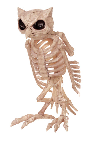 Skeleton Owl