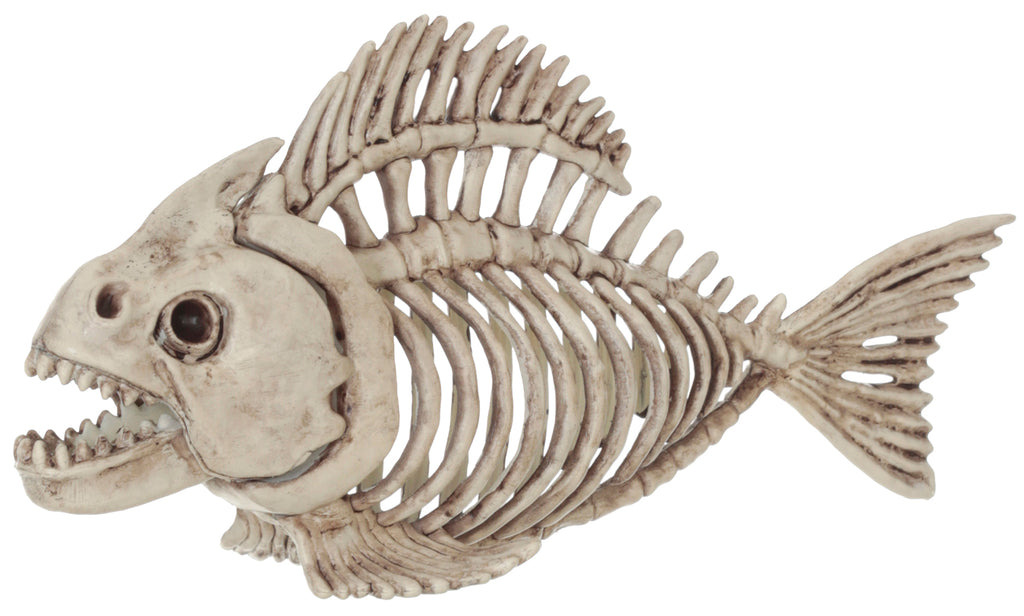 Skeleton Fish