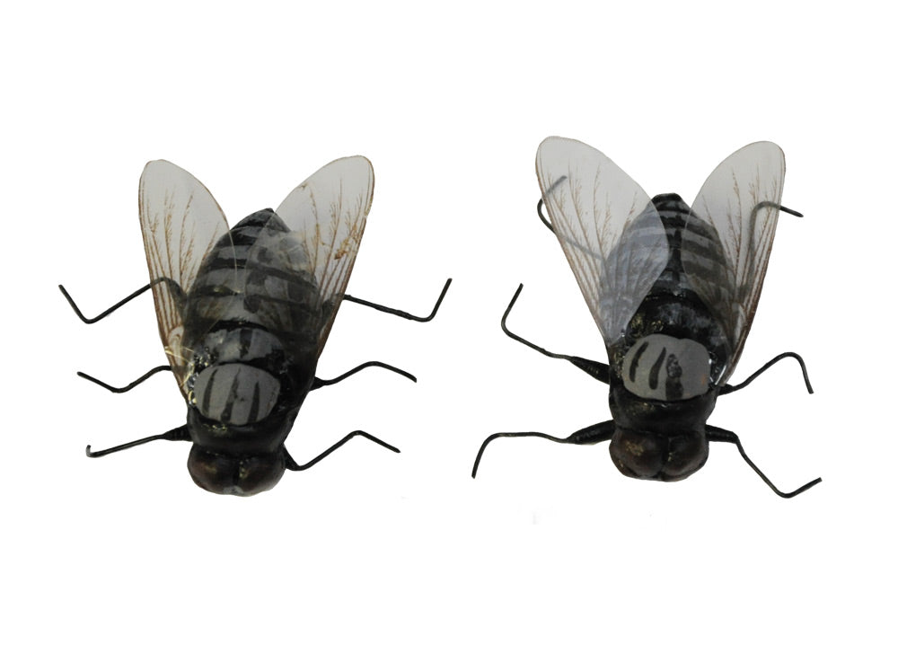 Magnetic Fly 2 Pack