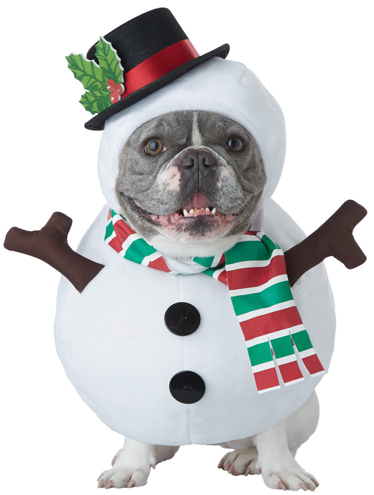 Snowman Dog Md