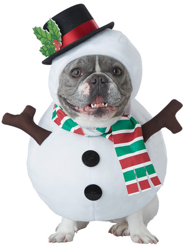 Snowman Dog Md