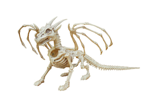 Dragon Skeleton