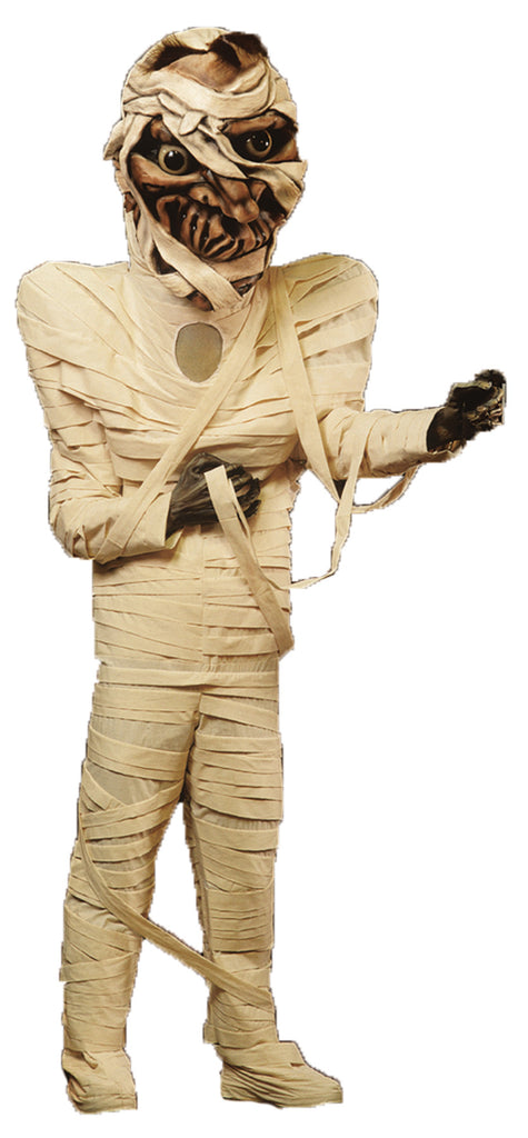 Mummy Costume  As Pictured